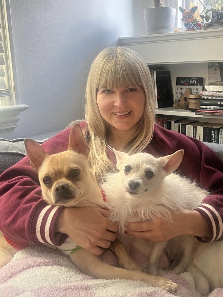 Enlarge Taco, a Adoptable mixed breed in New York, NY image 6/6