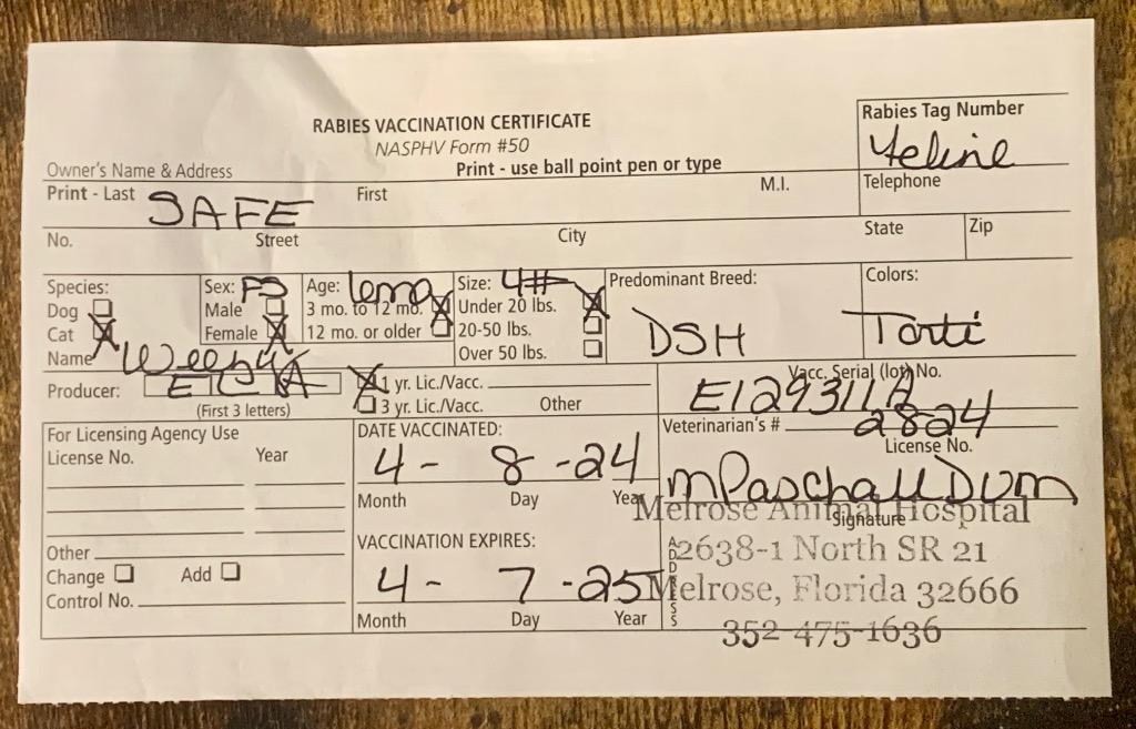 Louise aka Weezy — thumbnail 2