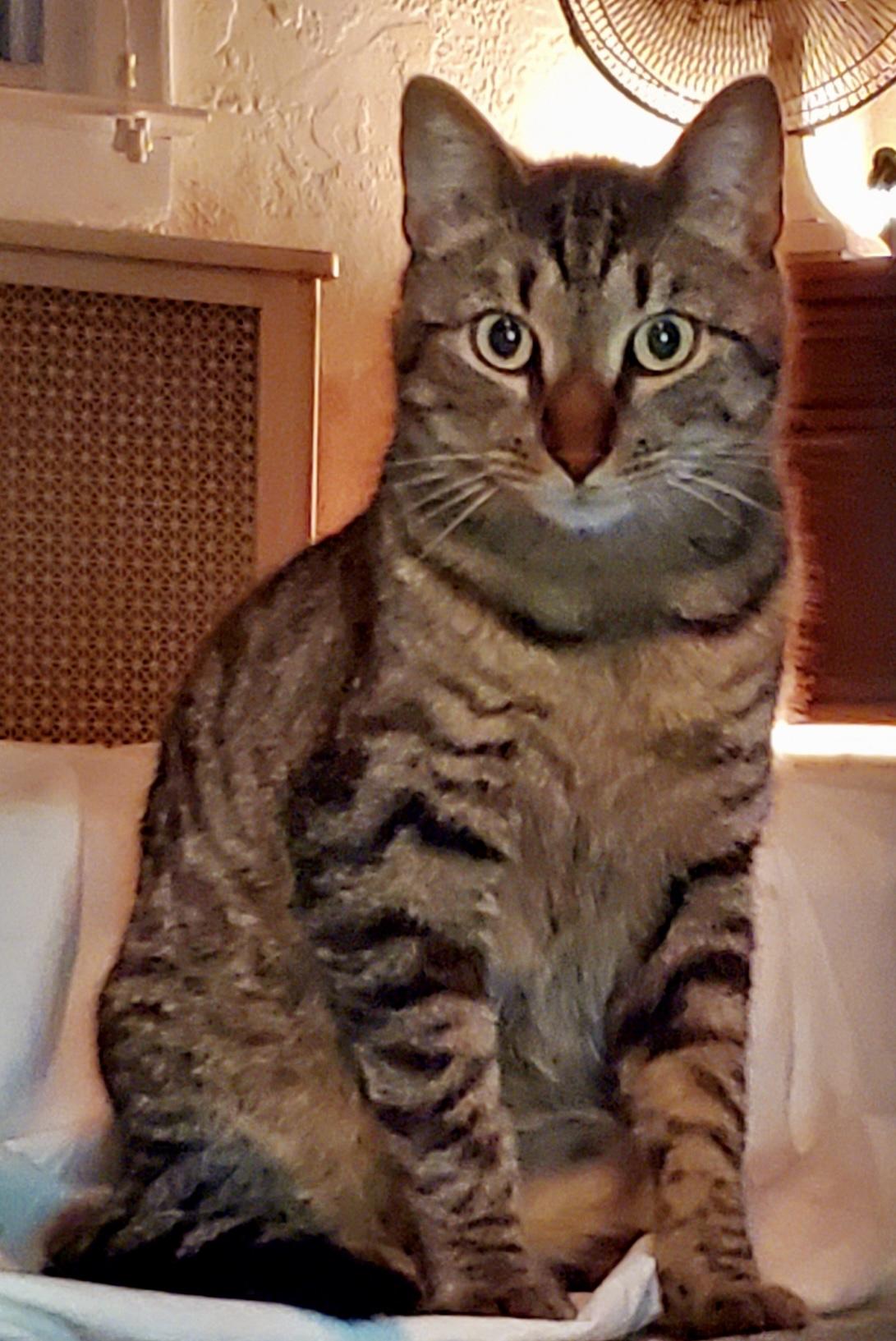 Leo