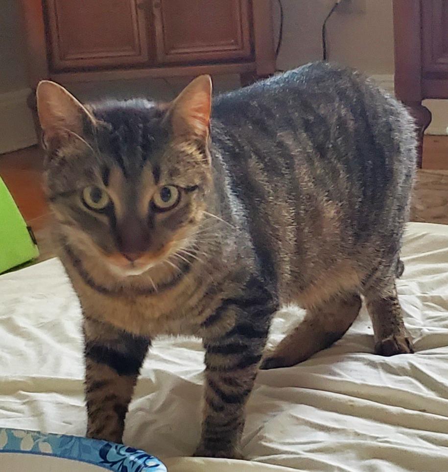 Leo