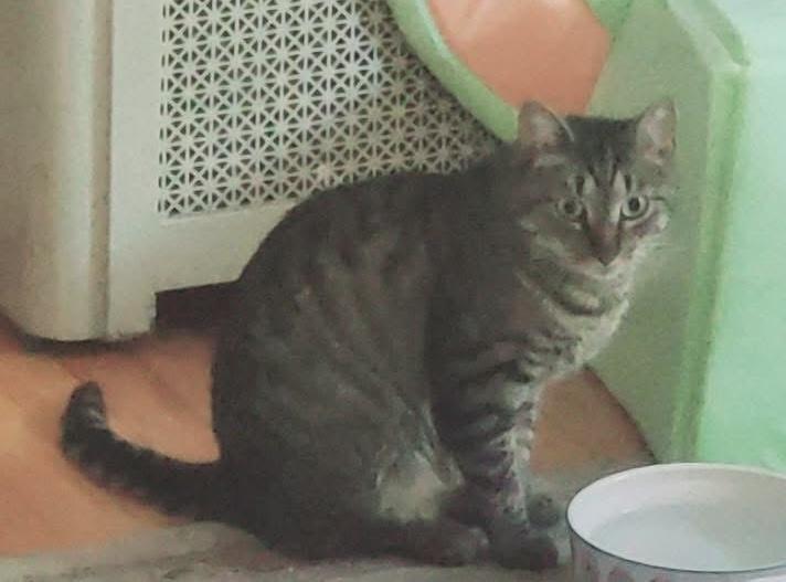 Leo