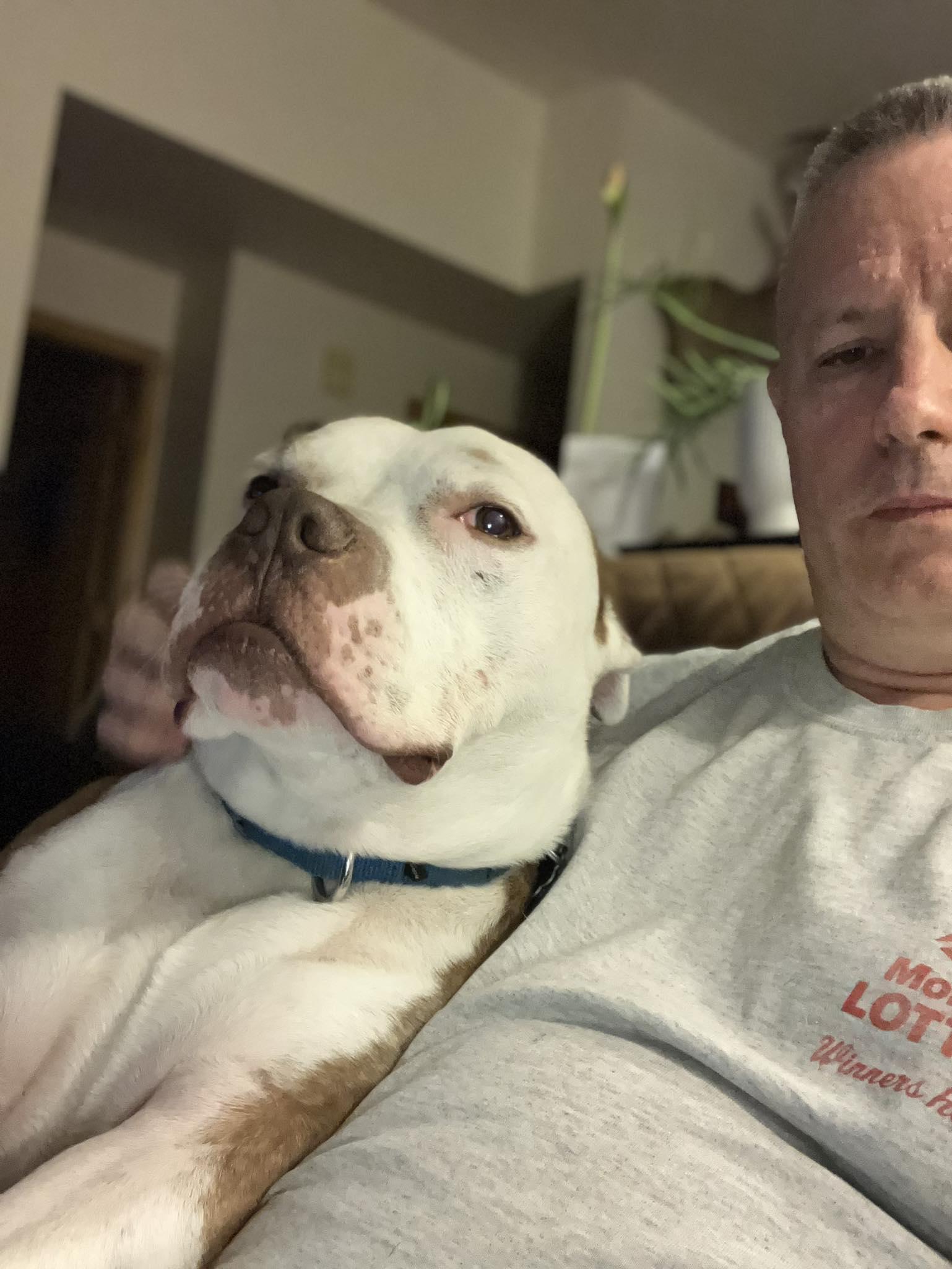 Toby, a Adoptable Pit Bull Terrier in Arlee, MT image 6/6