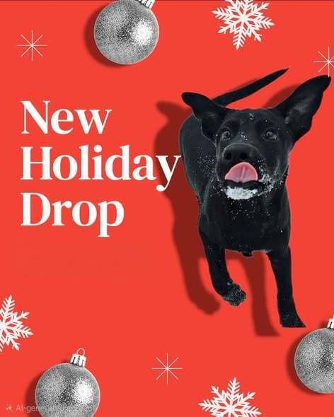 Remedy, a Adoptable mixed breed image 3/4