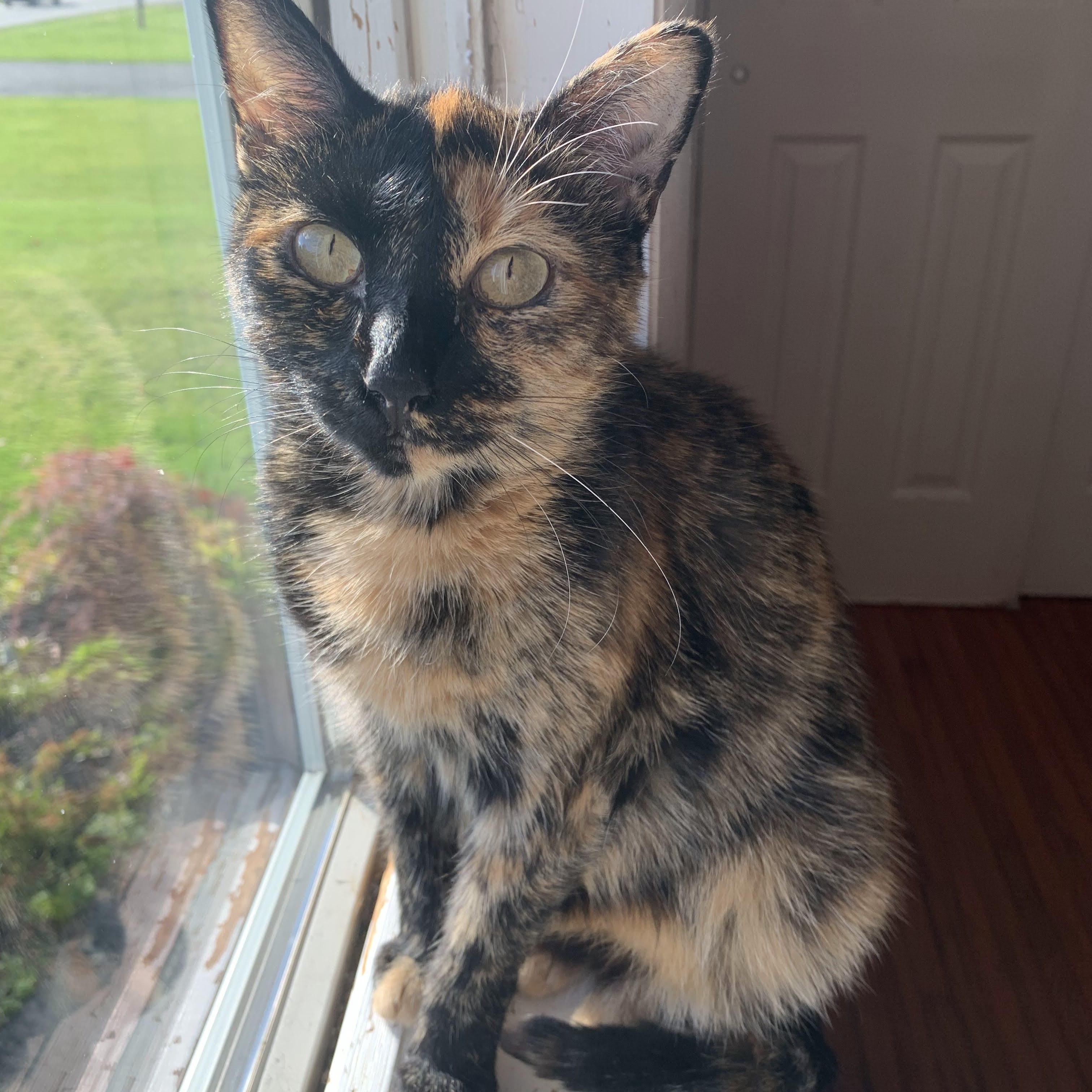 Izzy & Isaiah — thumbnail 3