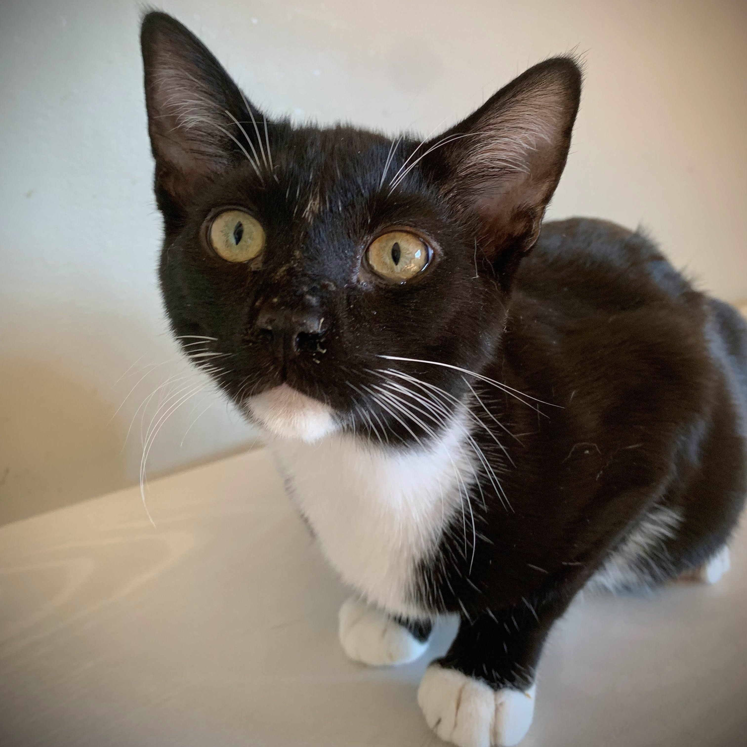 Izzy & Isaiah — thumbnail 4