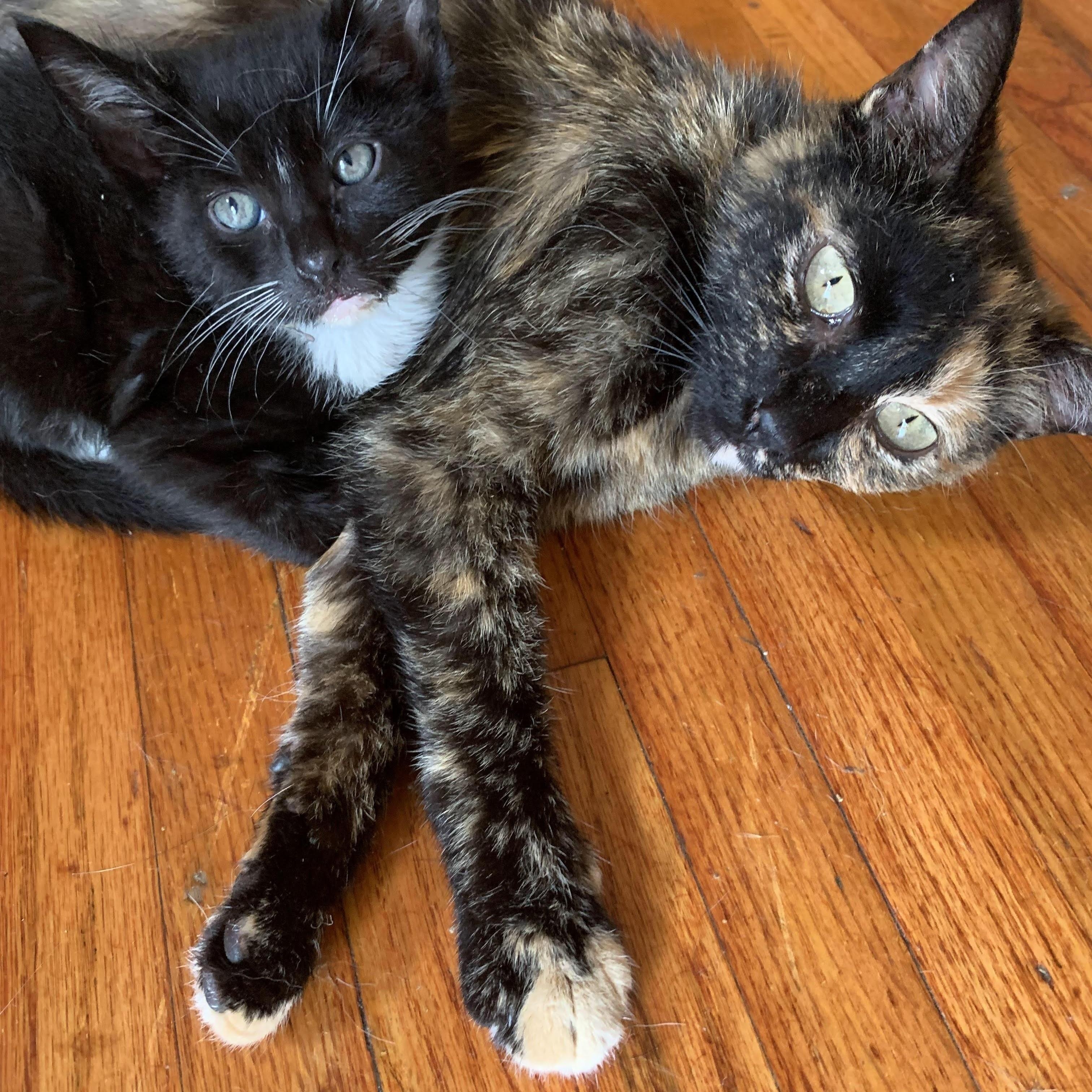 Izzy & Isaiah — thumbnail 5