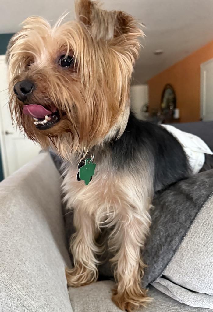 Oliver