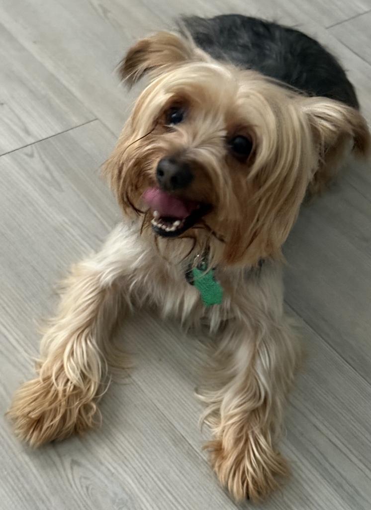 Oliver