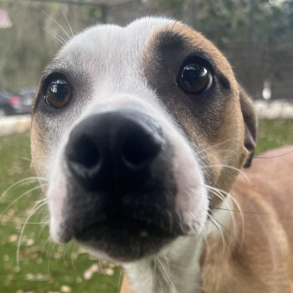 Love Bug (Bugsy) — thumbnail 3