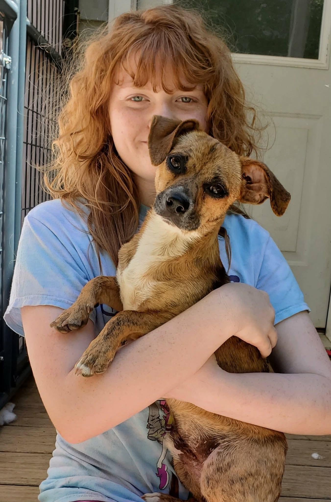 Ace , a Adoptable mixed breed in Argyle, NY image 6/6