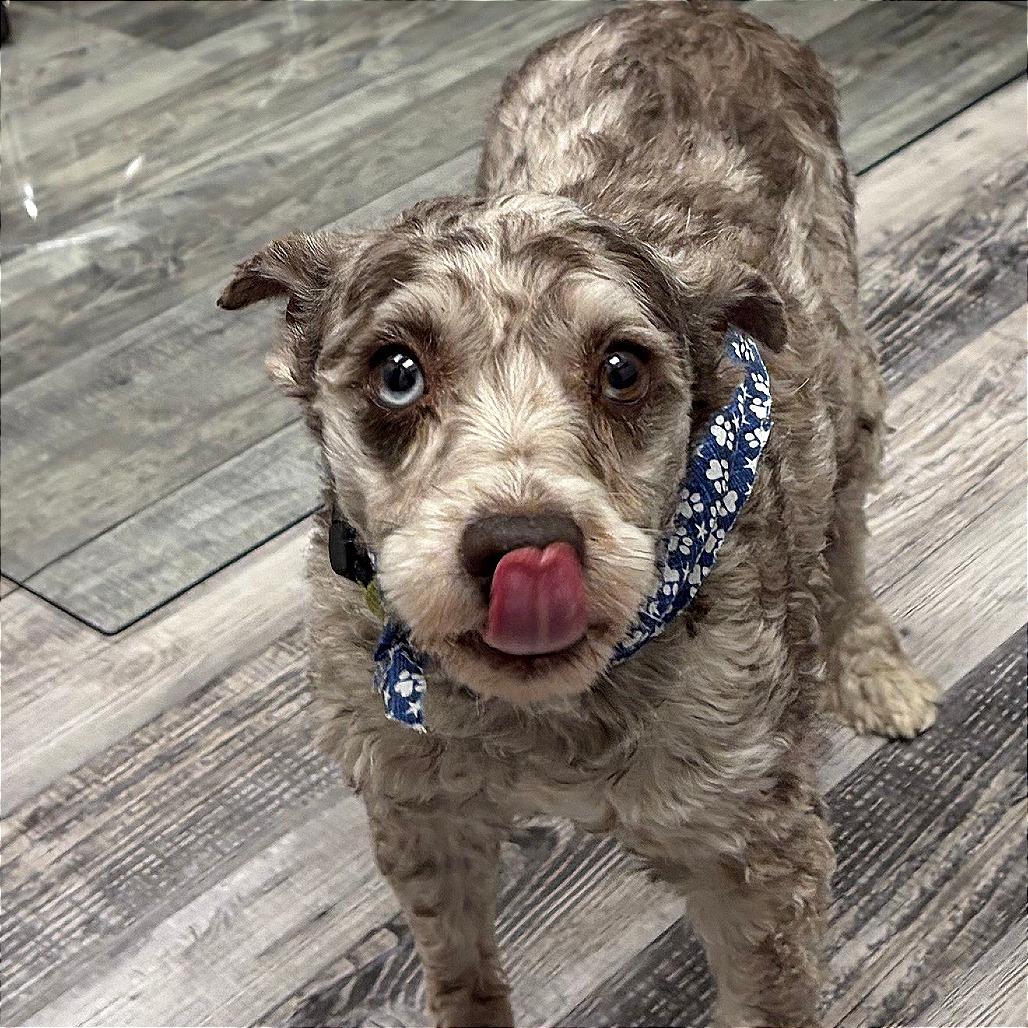 Paul — thumbnail 2