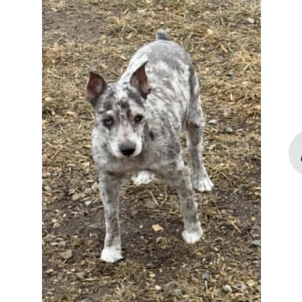 Paul — thumbnail 3