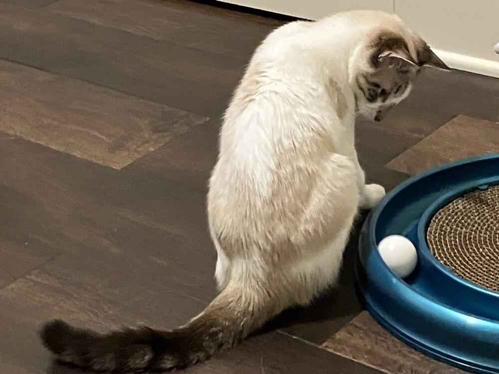 Marceline the Vampire Queen (RH1) — thumbnail 2