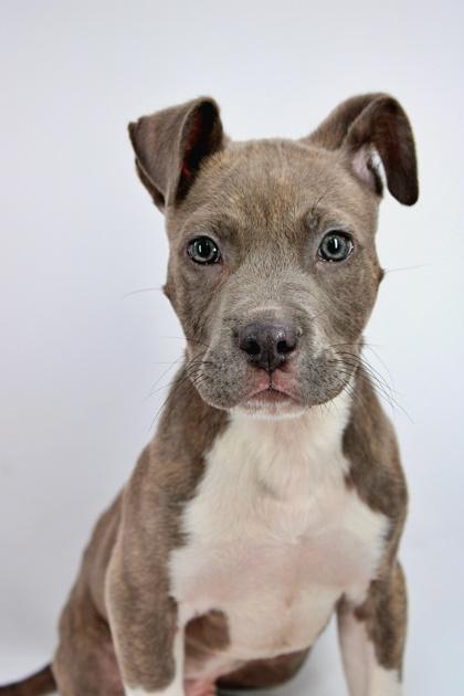 Popcorn — thumbnail 2