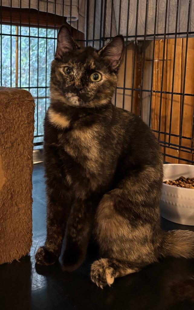 Camille — thumbnail 2