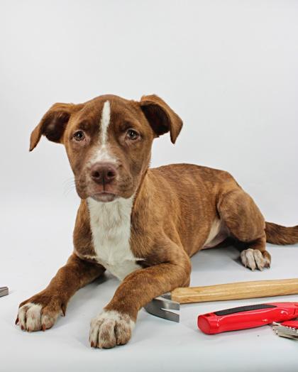 Milwaukee — thumbnail 2