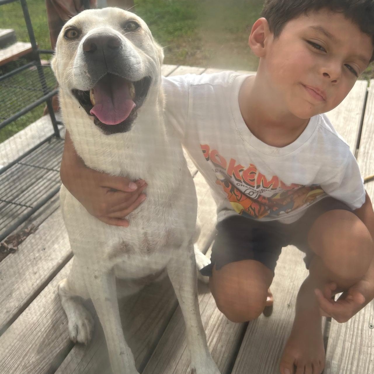 Daisy, an adopted mixed breed in Philadelphia, PA image 2/6