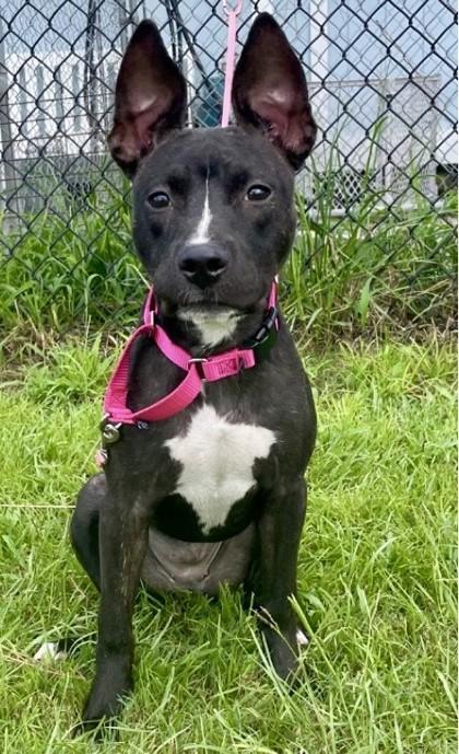 Catherine thumbnail 2