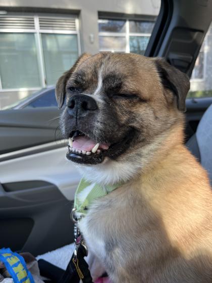 Mister — thumbnail 3