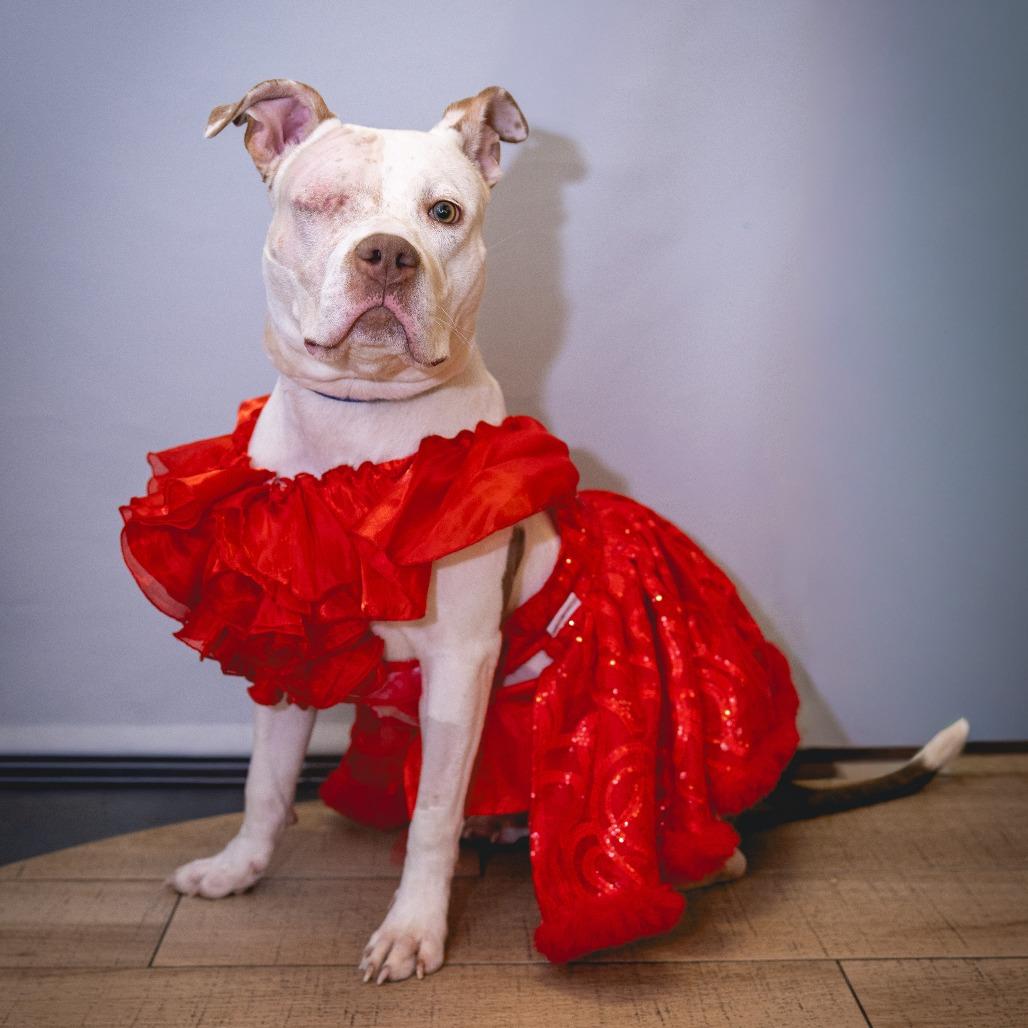 Misty Skye thumbnail 2