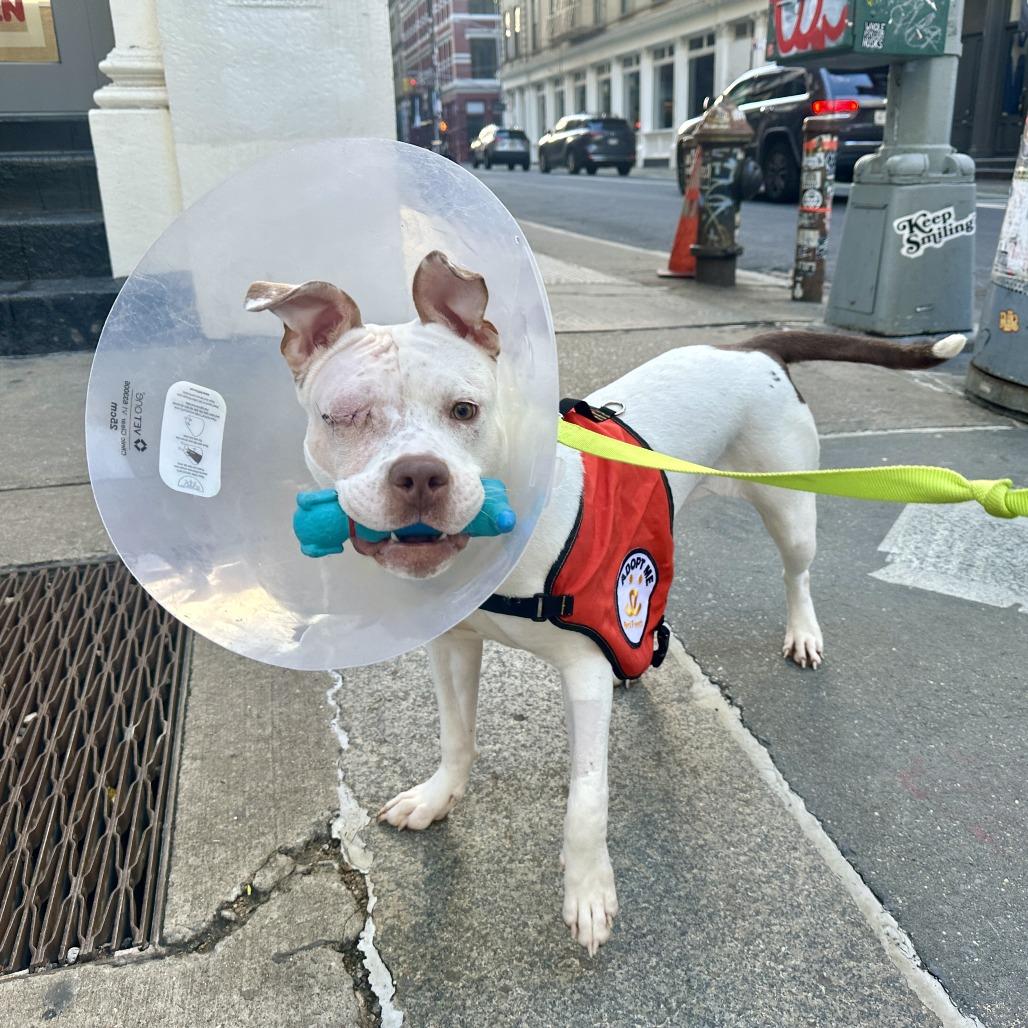 Misty Skye thumbnail 3