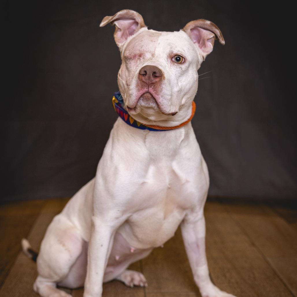 Misty Skye thumbnail 4