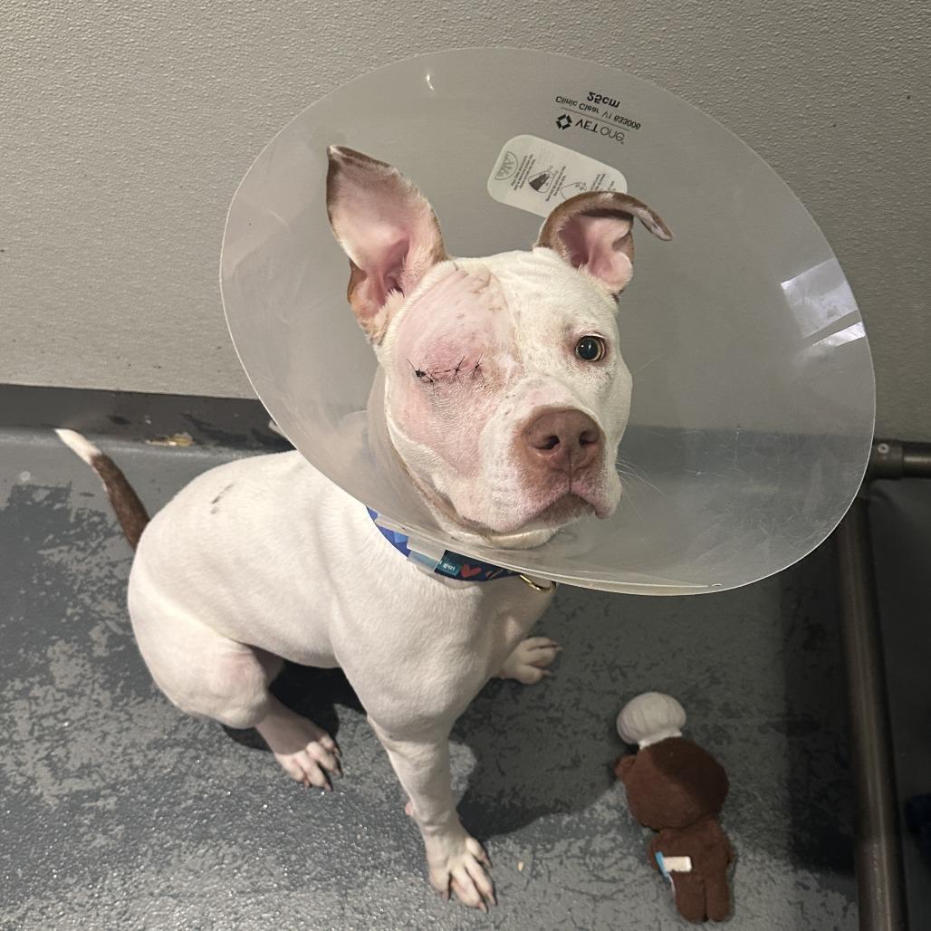 Misty Skye thumbnail 5