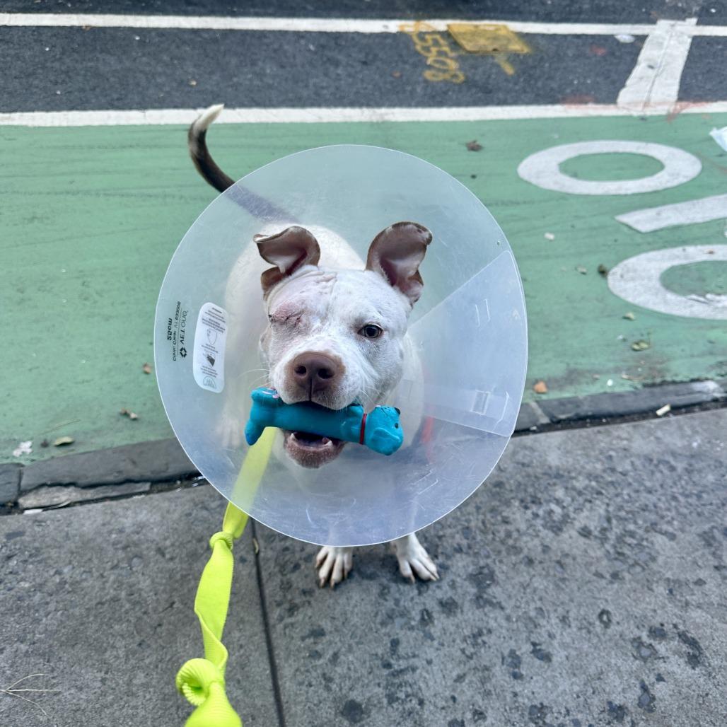 Misty Skye thumbnail 6