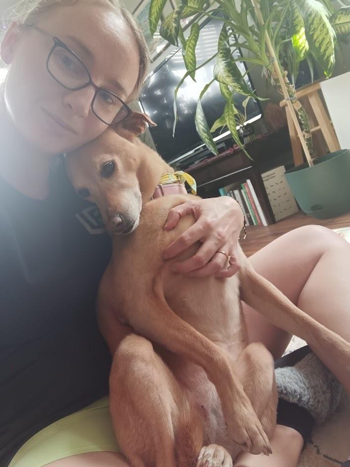 Enlarge Emma, a Adoptable mixed breed in Littleton, CO image 1/6