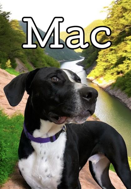 Mac