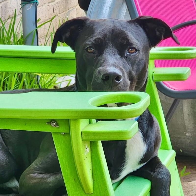 Mack McWiggles your Happy Bestieqc