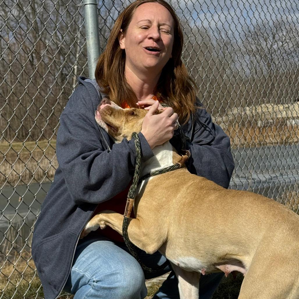 Enlarge Daisy, a Adoptable mixed breed in Nashville, IN image 1/6