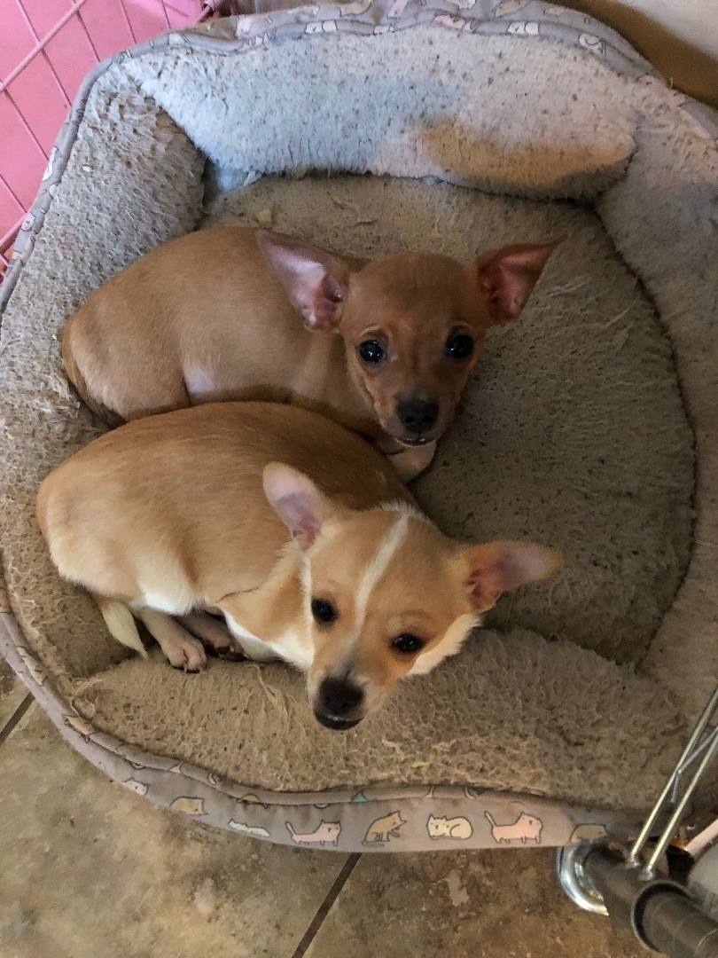 Maria and Pedro