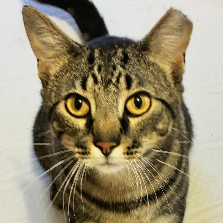 Oliver photo 2