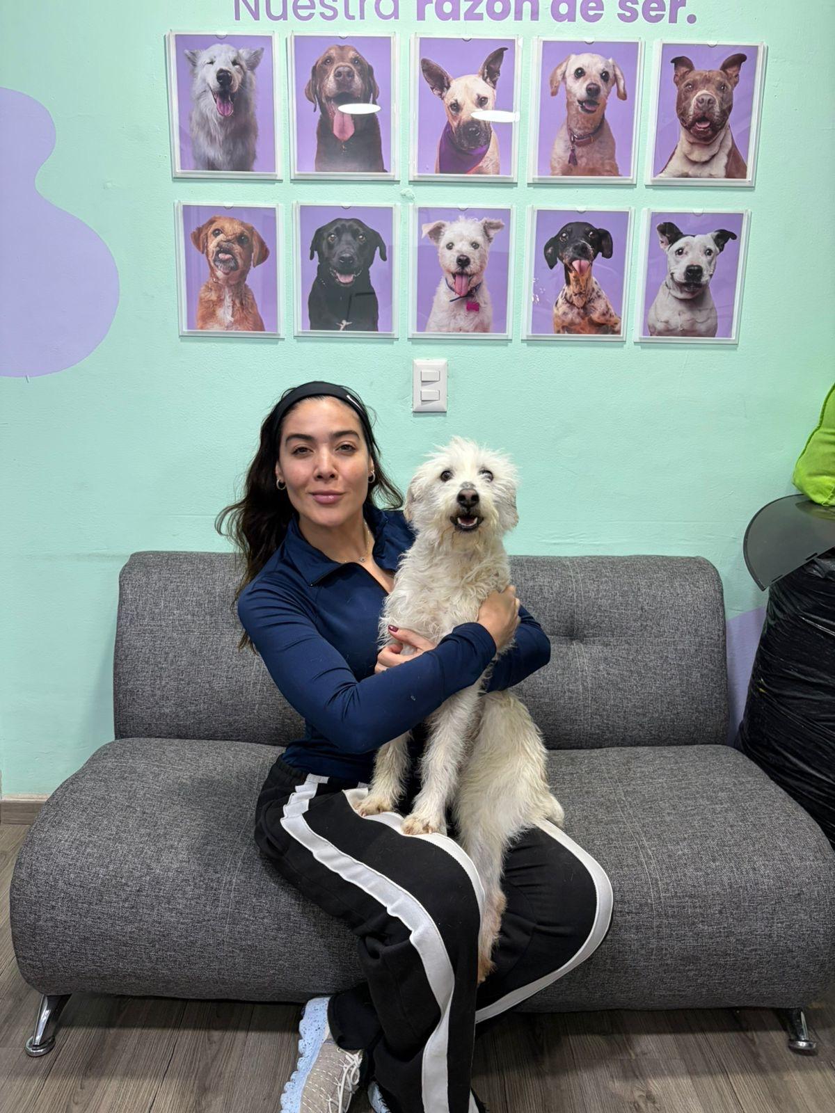 Enlarge Max, an adopted mixed breed in Hilton, NY image 3/3