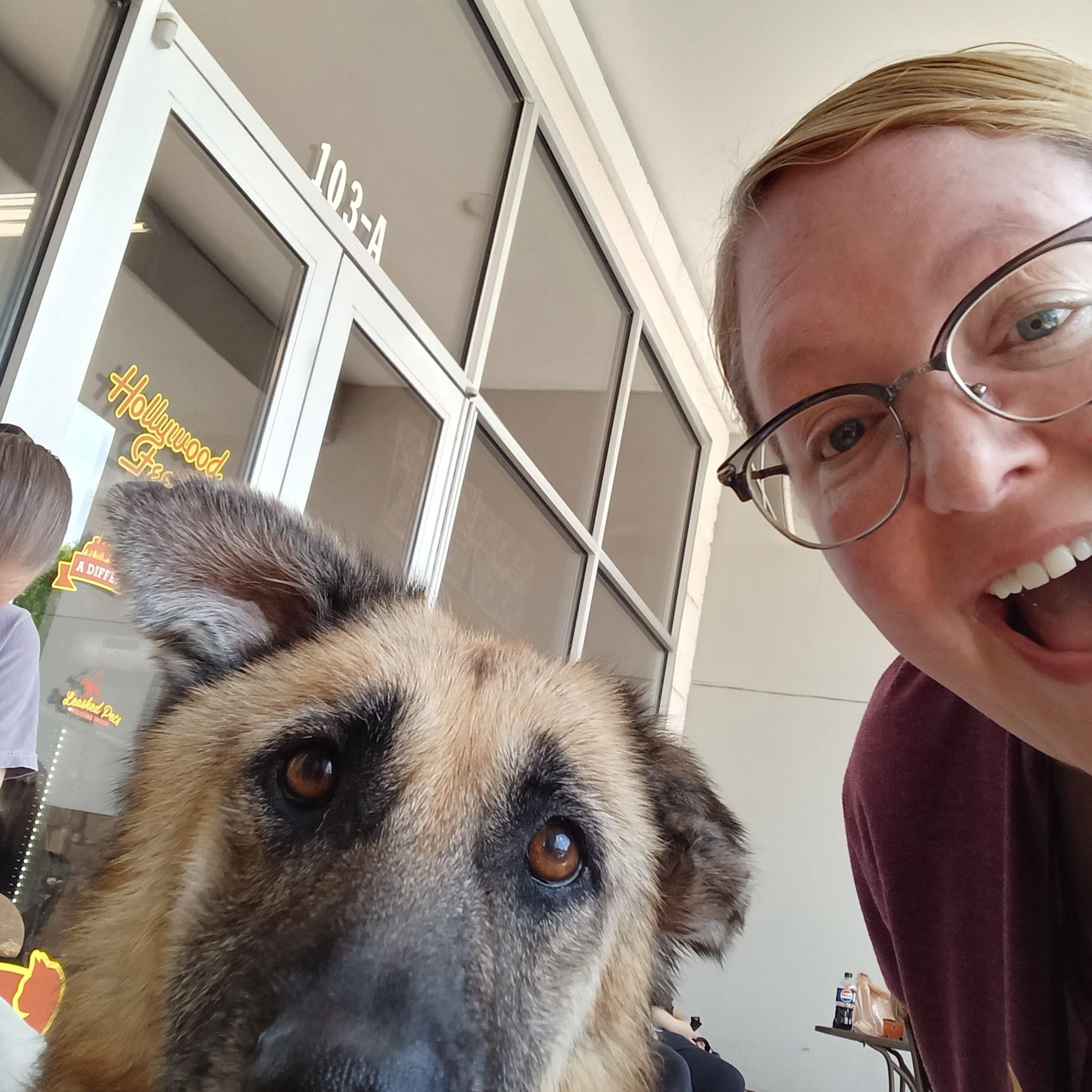Bella, a ADOPTABLE German Shepherd Dog in Cary, NC image 4/4