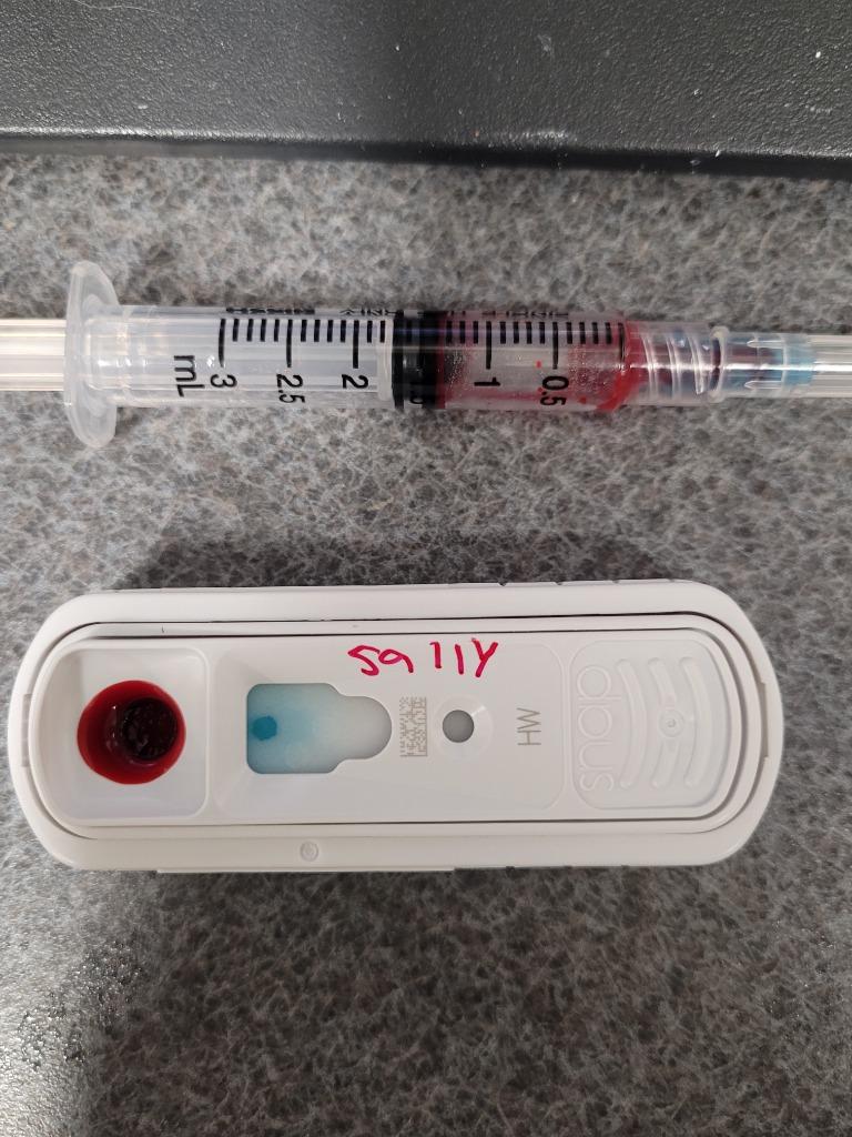 Sally, a Adoptable mixed breed in Hopkinsville, KY image 5/6