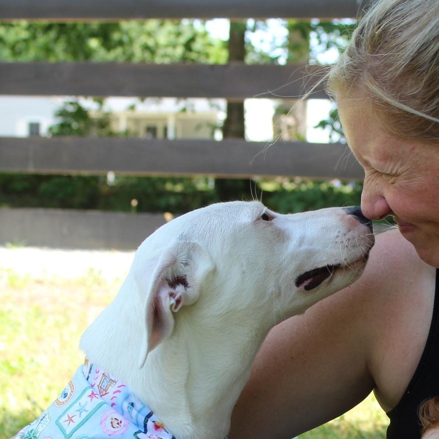 Enlarge Betty White, a Adoptable mixed breed in Richmond, VA image 5/6