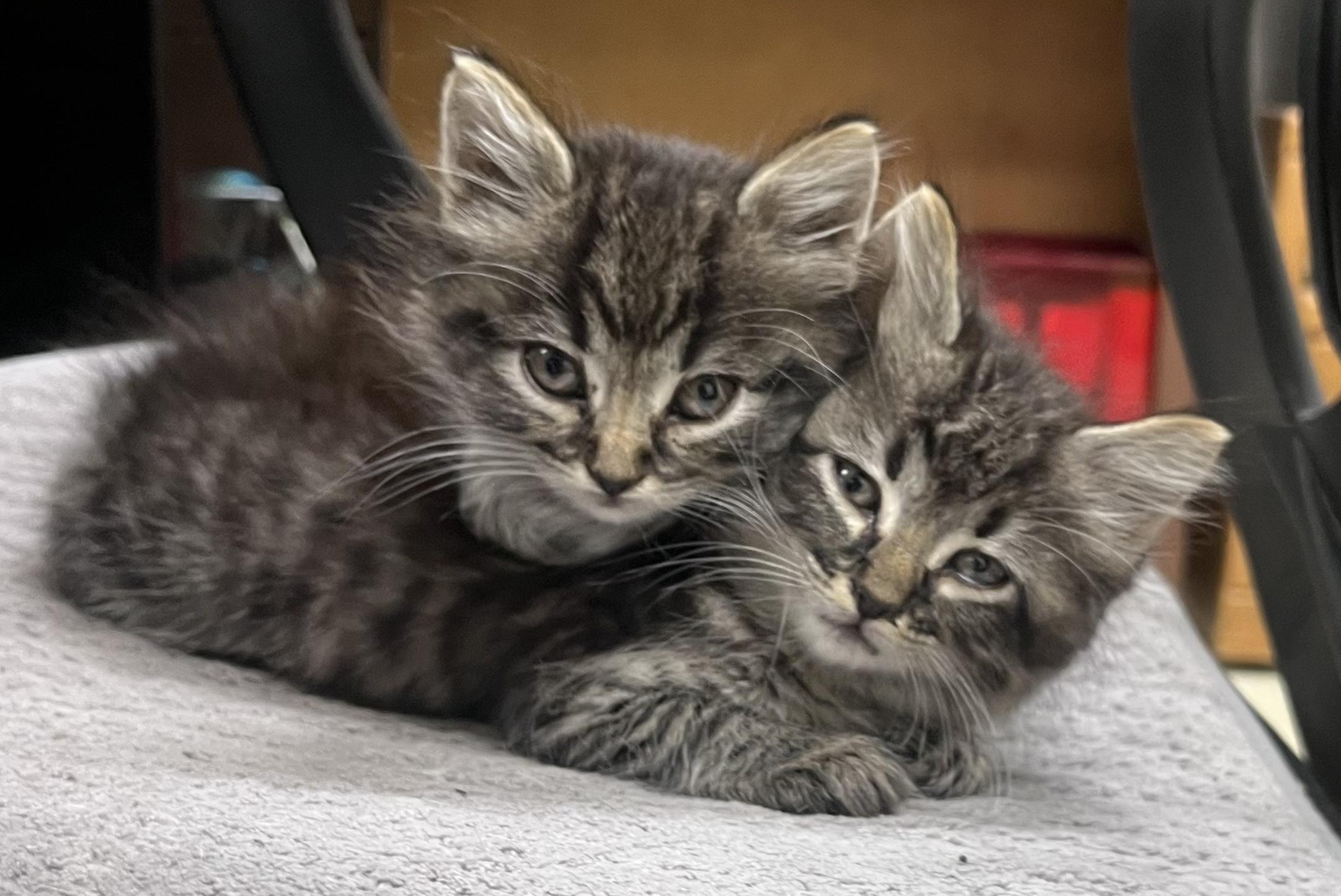 Hugs