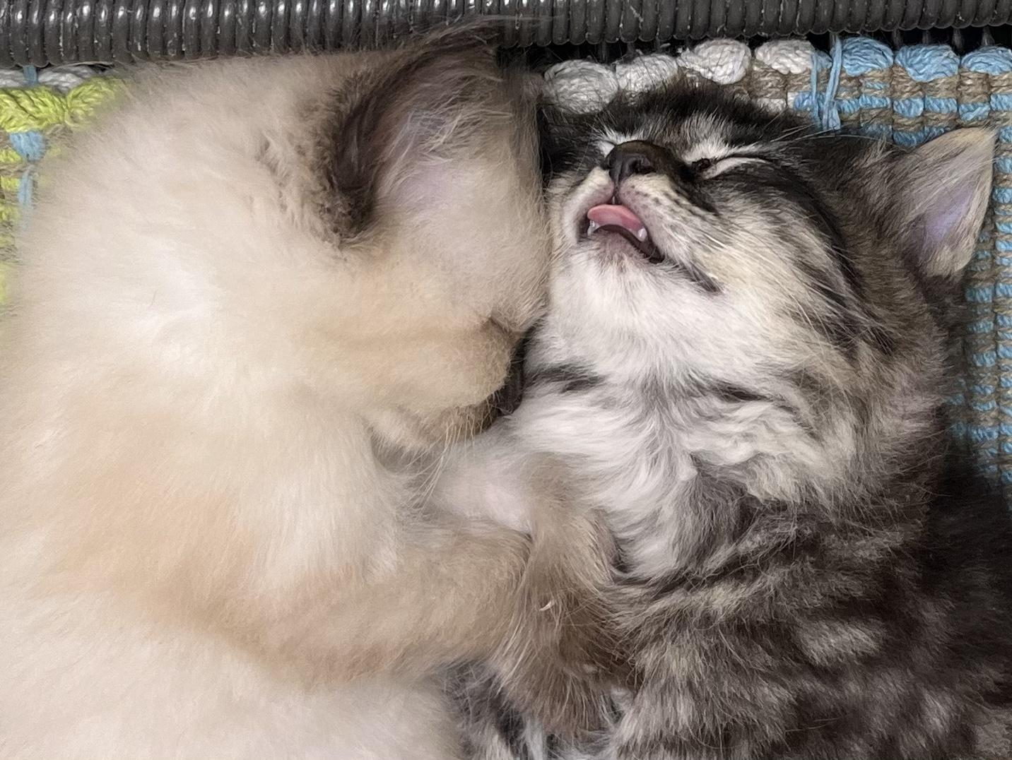 Hugs