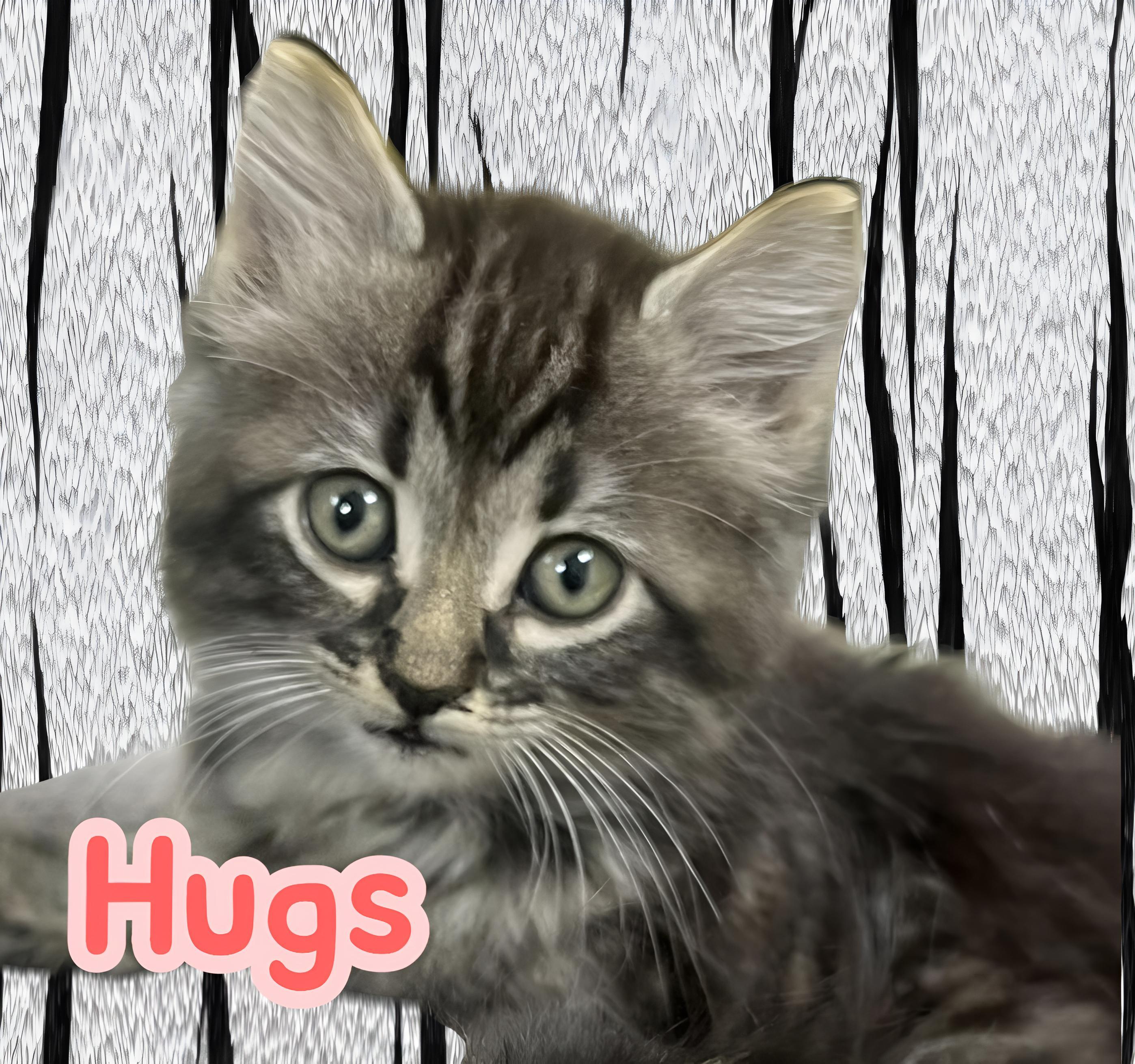 Hugs