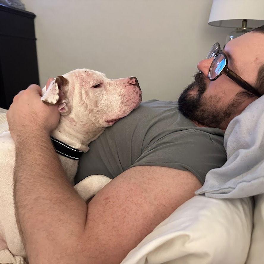 Hamilton IV, a Adoptable Pit Bull Terrier in Dallas, TX image 2/3