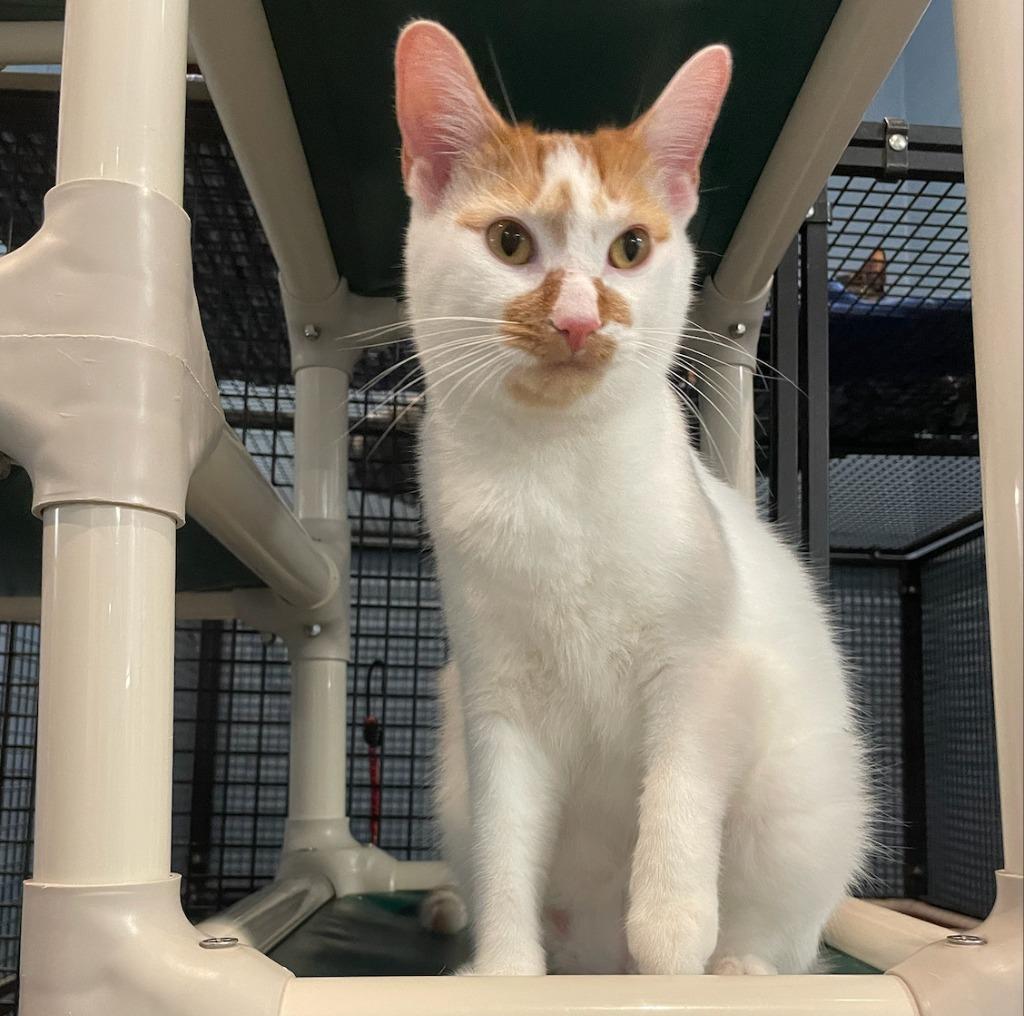 Tabasco — thumbnail 5