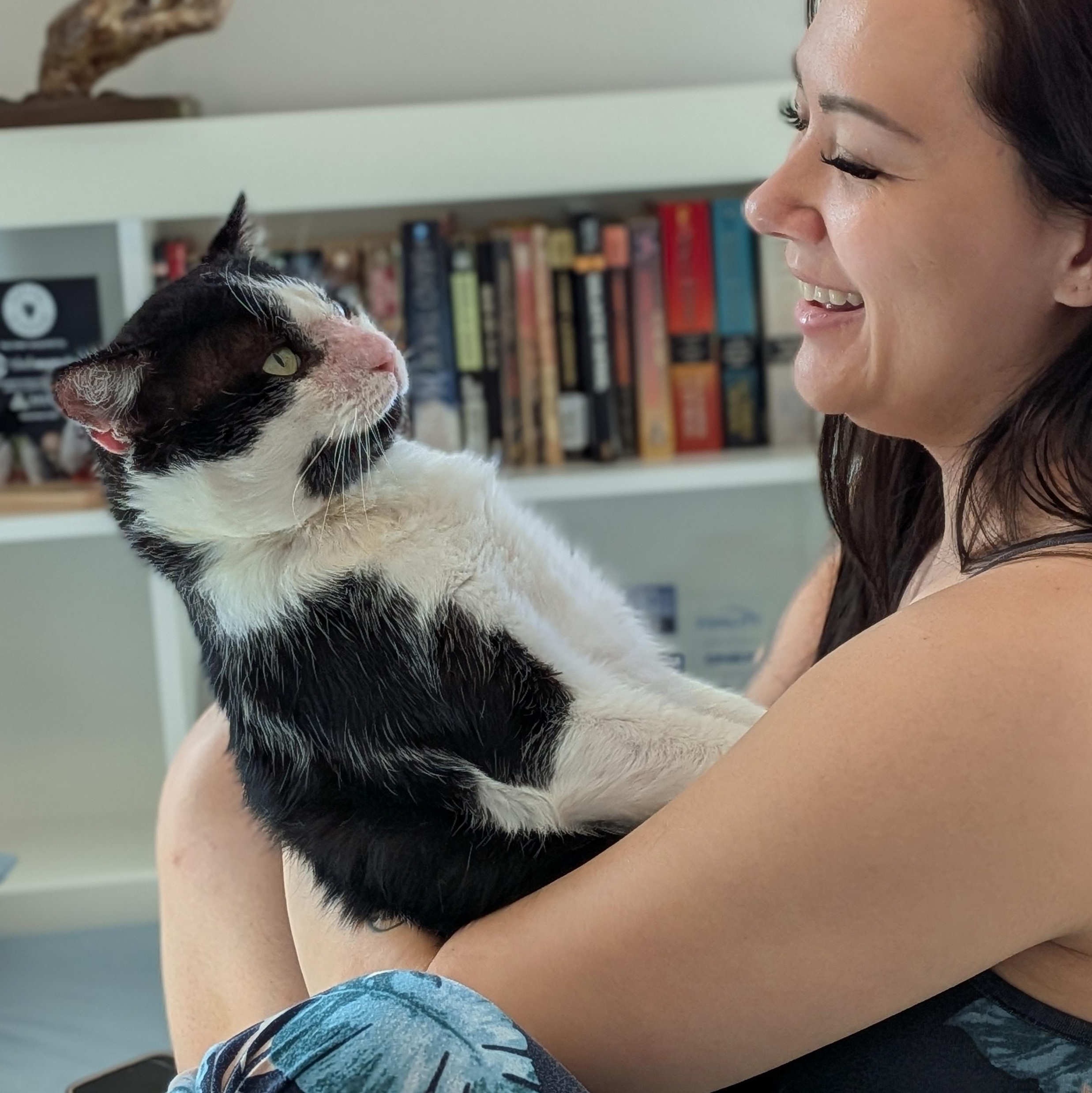 Buster, a Adoptable Domestic Short Hair in Parkland, FL image 4/5