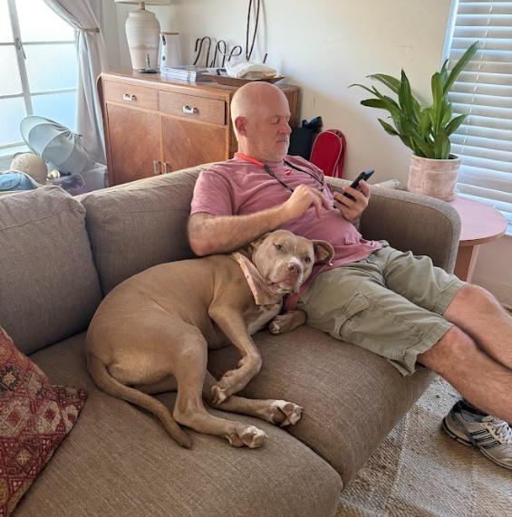 Enlarge Tiana, a Adoptable Pit Bull Terrier in Austin, TX image 2/5