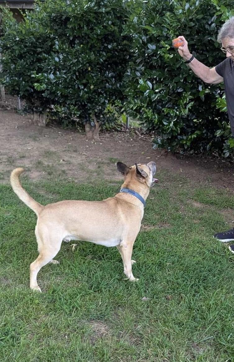 Skylar Blue thumbnail 3