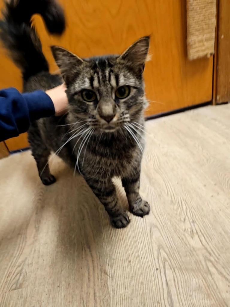 Tatianna thumbnail 2