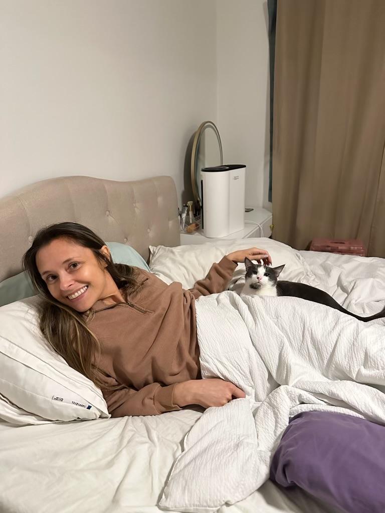 Fenix , a Adoptable Tabby in Los Angeles , CA image 6/6