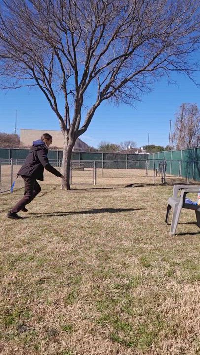 Enlarge Emrys, a Adoptable mixed breed in FRISCO, TX video 2/6