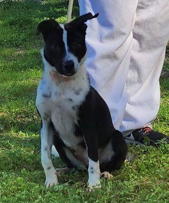 260183 Zelda — thumbnail 2